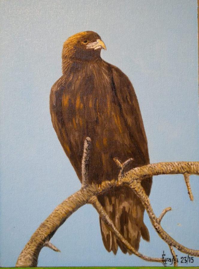 LG 0292 - L'Aquila Reale