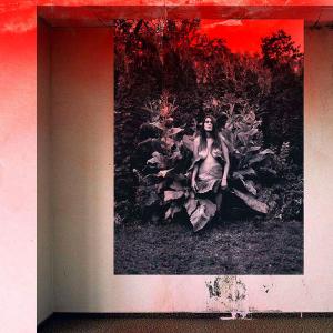 A Plastic Tool A Plastic Tool