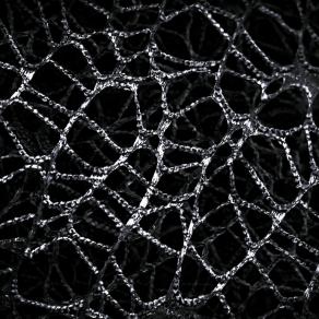 La faccia luminosa del nostro nucleo oscuro 