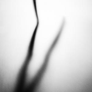 Nutcracker Nutcracker