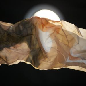 DULCE AMANECER DE EMILY / EMILY´S SWEET SUNRISE DULCE AMANECER DE EMILY / EMILY´S SWEET SUNRISE