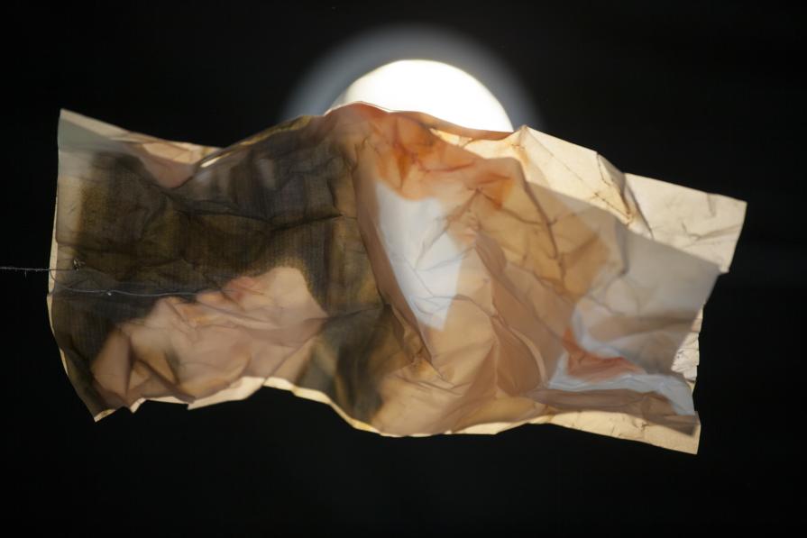 DULCE AMANECER DE EMILY / EMILY´S SWEET SUNRISE