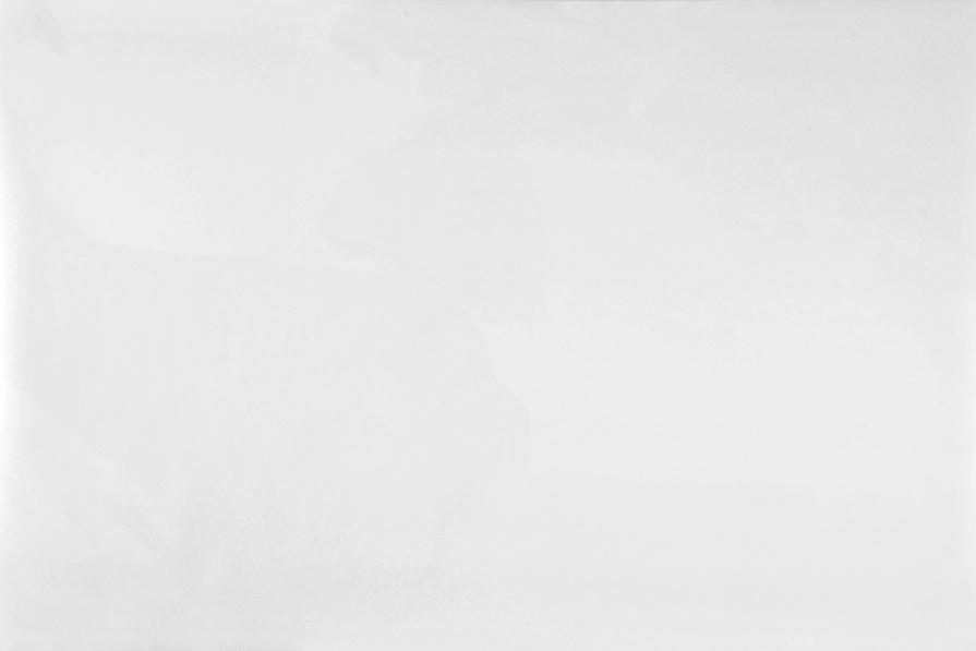 serie Monocromo Charta _Scalp cns1 serie Monocromo Charta _Scalp cns1