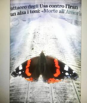 Investite in farfalle e no in F35 se no il risultato è questo. 