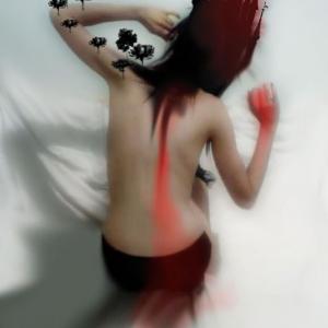 SEGNI DI DONNA Le signore dell'arte