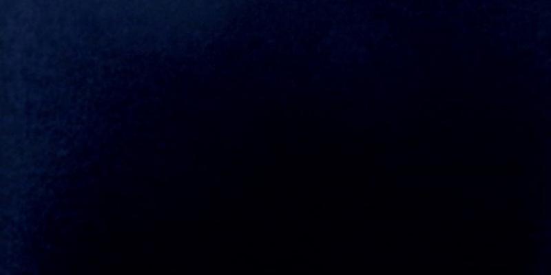 Sonia Costantini. Absolute Color