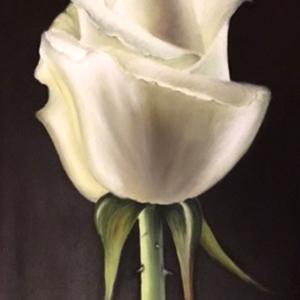 FIORI IN VILLA al CLUB MERIDIANA DI MODENA