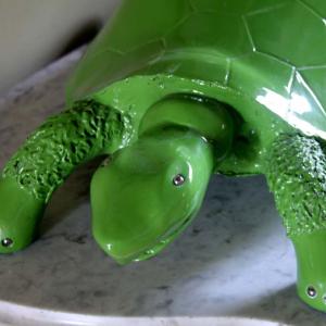 Natura:Luci e Ombre a Modena.