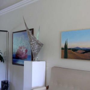 Natura:Luci e Ombre a Modena.