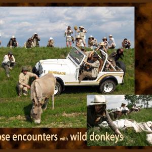 Etrarte segnala:  Trivignano Dreams by Persisters a Krossing, Immaginodromo, evento collaterale della 53. Esposizione Internazionale d’Arte della Biennale di Venezia