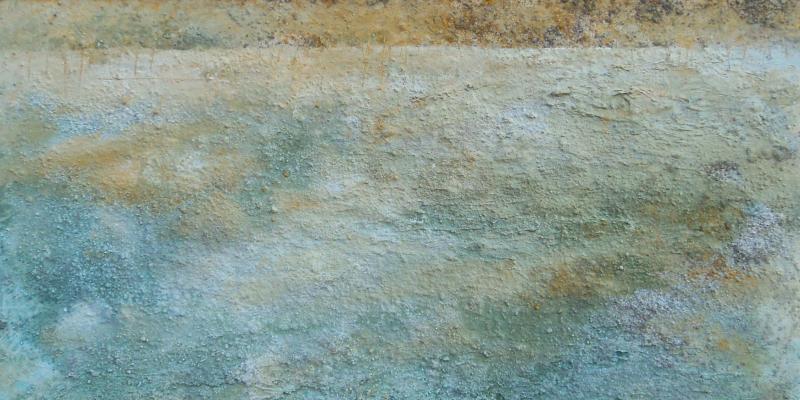 Virgilio Patarini, Nuovi orizzonti