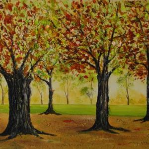 LUCI, COLORI ED EMOZIONI