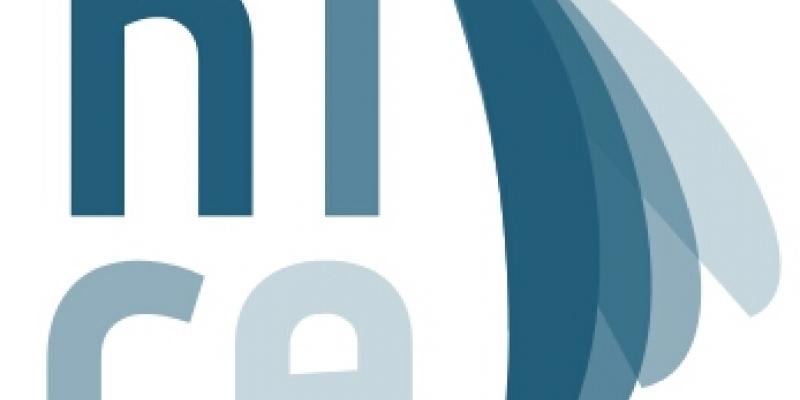 NICE Corso Curatori di mostre di Arte Contemporanea NICE Corso Curatori di mostre di Arte Contemporanea