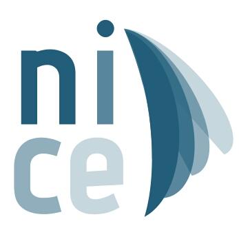 NICE Corso Curatori di mostre di Arte Contemporanea