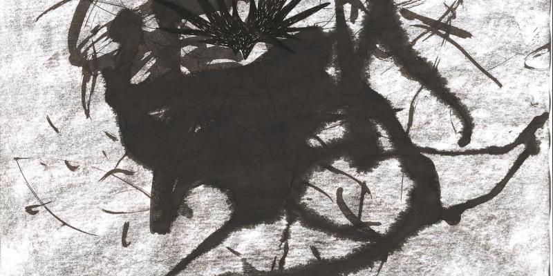 Colors, Materials, Signs Colors, Materials, Signs