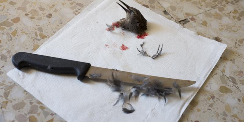 Hunting Season - © - www.zachamartinez.com