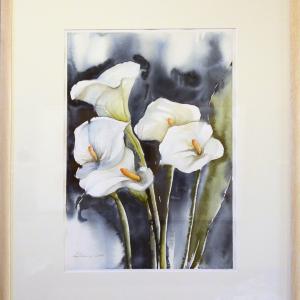 PROFUMI E COLORI MOSTRA A MODENA