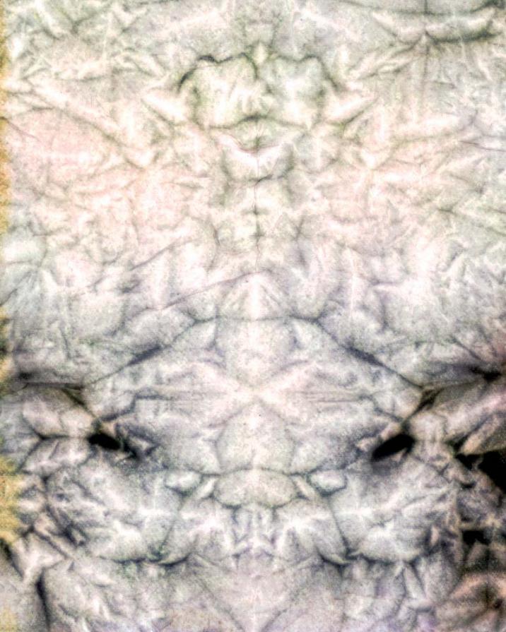 Il Principio della Manifestazione - Serpente