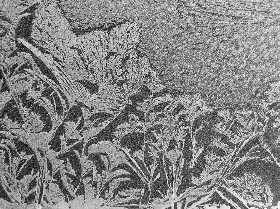 Naturalismo ancestrale