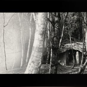 From the series "Beyond the Veil"