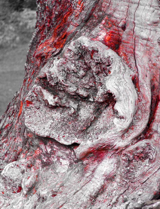 consapevolezza consapevolezza