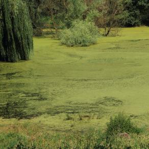 Contemplata aliis tradere - parte 2