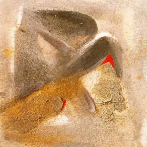 il volo del silenzio