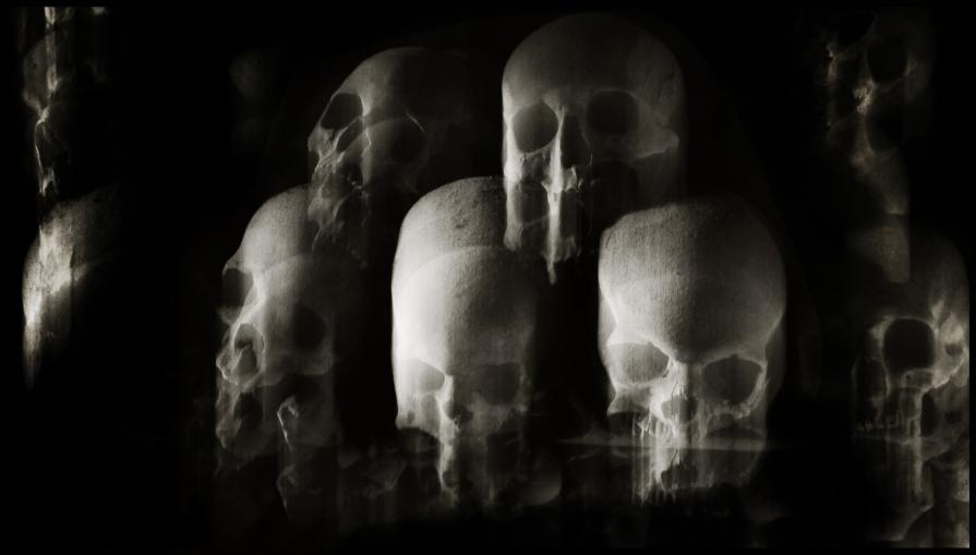  Augusto De Luca ! photo 26