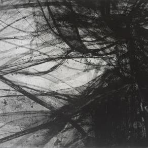 C-2011 L4 (la coda di pan-STARRS)