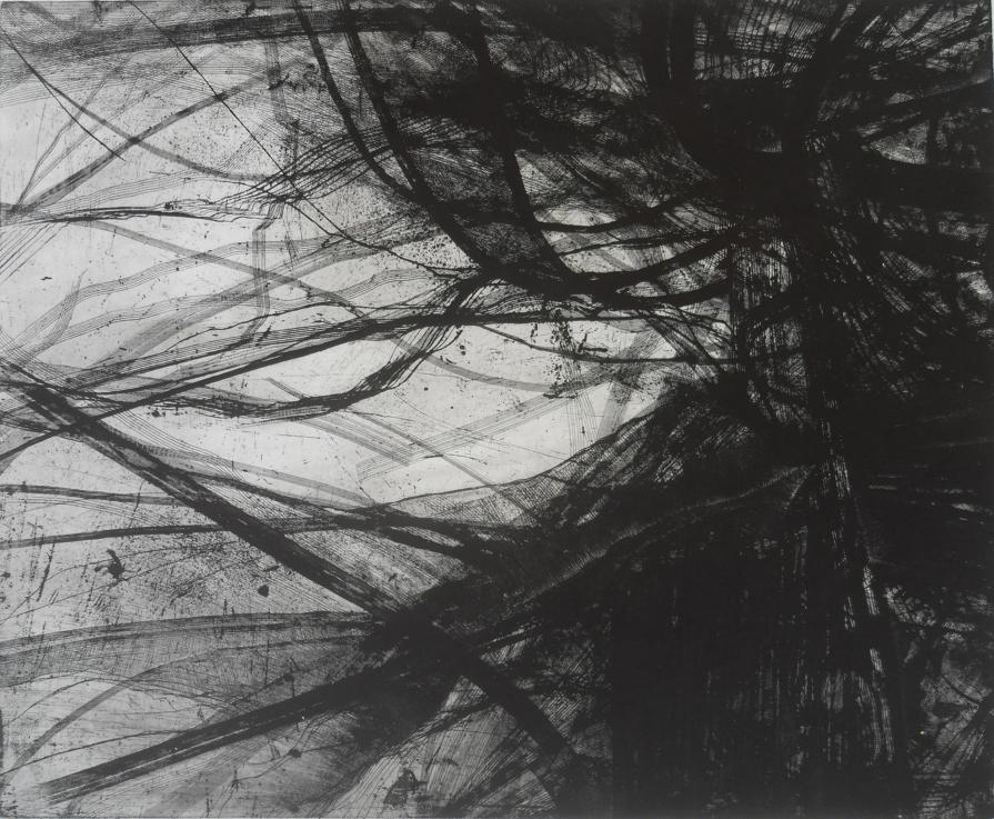 C-2011 L4 (la coda di pan-STARRS)