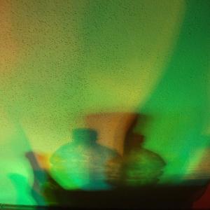 I colori della biodiversità -2015-omaggio a Giorgio Morandi