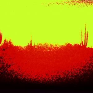 Burnt Tucson Cacti 2