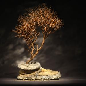 IO CAMMINO TRA LE NUVOLE IO CAMMINO TRA LE NUVOLE