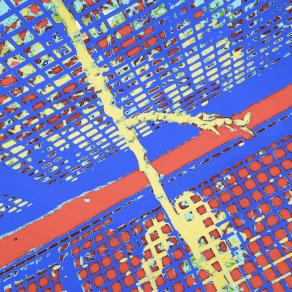 Pisciotta Bivorcyta sulla Rettr Metalica