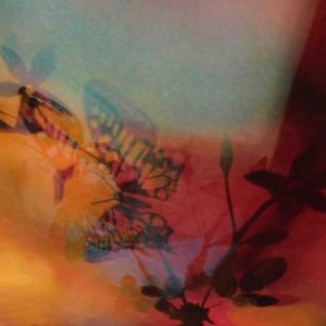 i colori della biodiversità i colori della biodiversità