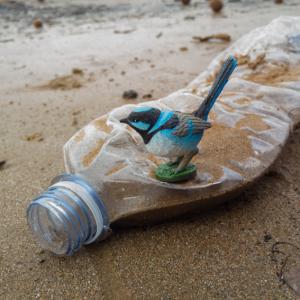 Habitat_project_backstage 13