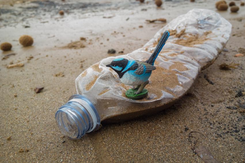 Habitat_project_backstage 13