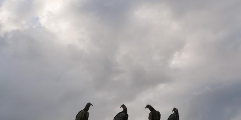 9 Square metres 9 Square metres