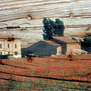 Le vigne di Matilde. Quattordici artisti interpretano il territorio