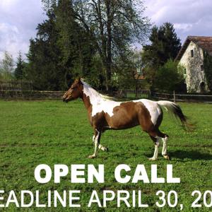 RAVE WORKSHOP OPEN CALL