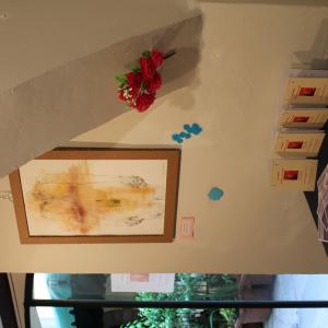 NO VIOLENCE!!! - La bellezza contro la brutalità