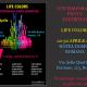 LIFE COLORS