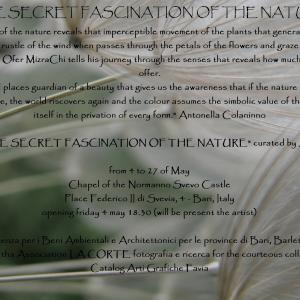 Ofer MizraChi “Il fascino segreto della natura” a cura di Antonella Colaninno