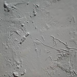 Colors, Materials, Signs