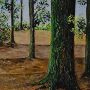 LUCI, COLORI ED EMOZIONI