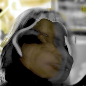 mostra collettiva"Intime geometrie di luce"