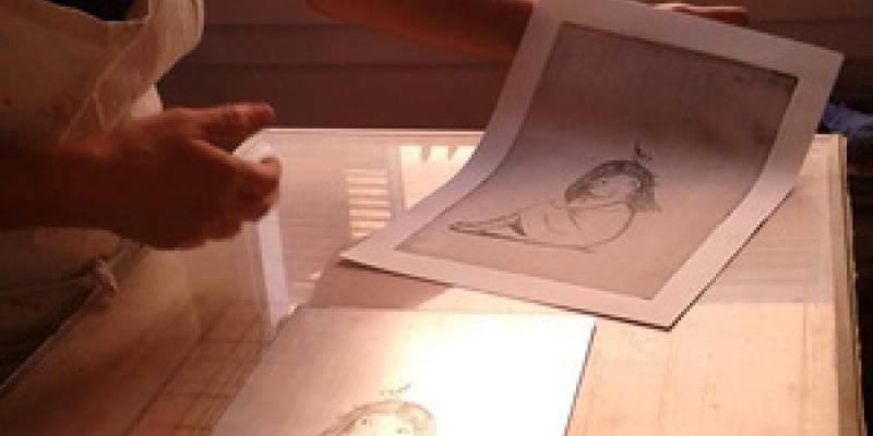 Cronistoria di una lastra di zinco.......