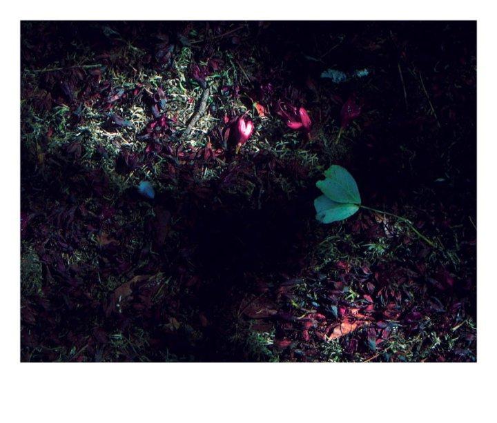 When I think of you When I think of you