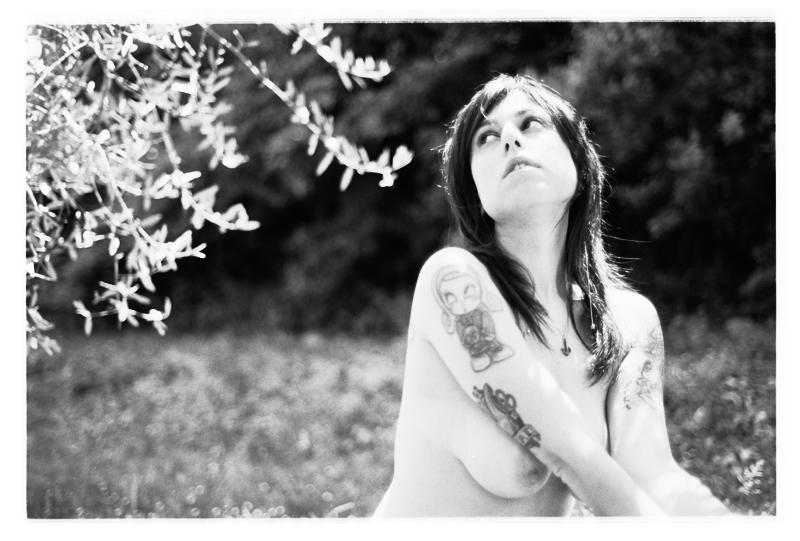 Welcome to the jungle