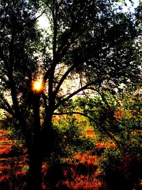 Colorado Sunrise: Gunnison # 1